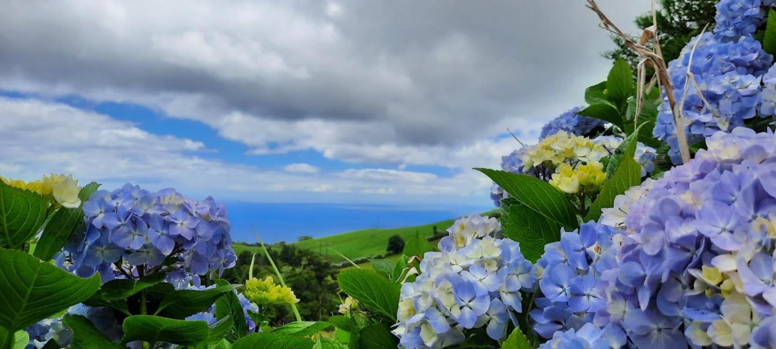 Quinta Da Espadana Повоасан Экстерьер фото